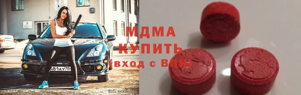 стаф Богданович